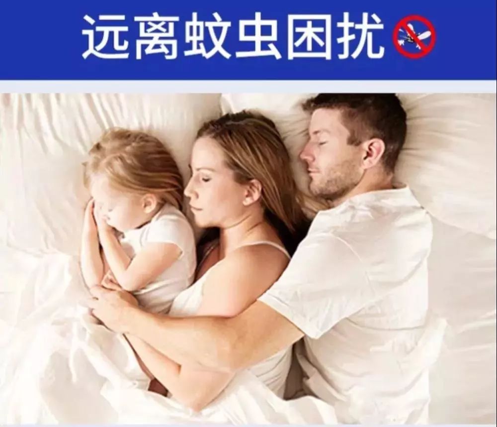 日本蚊子驱蚊神器,夏天灭蚊必备好物