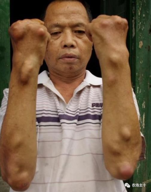 拿什么拯救你的自己,拿什么拯救你歌曲