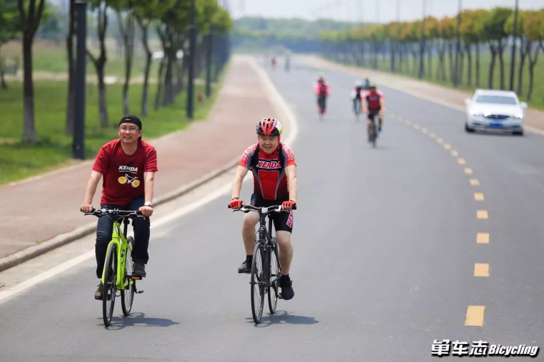 建大adv龟背轮胎,2019款建大轮胎测评