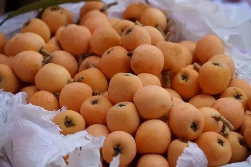 西昌时令水果,缤纷水果季献给爱吃水果的你