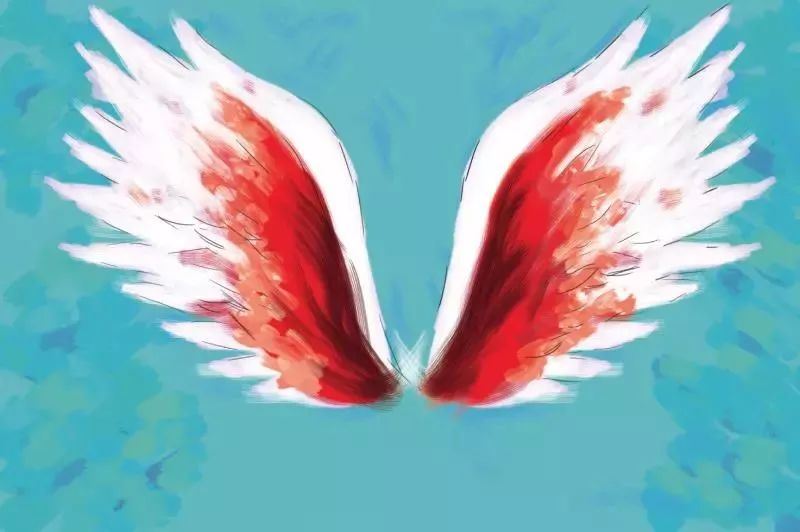 漫游乐动运动嘉年华沧州,漫游乐动运动嘉年华免费