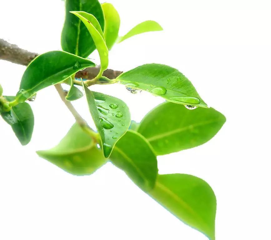 Top10|突袭妈妈们的化妆台，我居然被种草了！