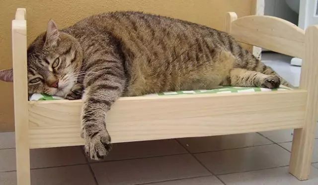 宜家必买收纳玩具,宜家必买宜家碗筷清单