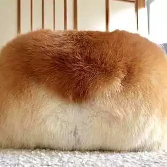 把我设置成不可见了是什么心态,为什么有人把朋友圈设成三天可见