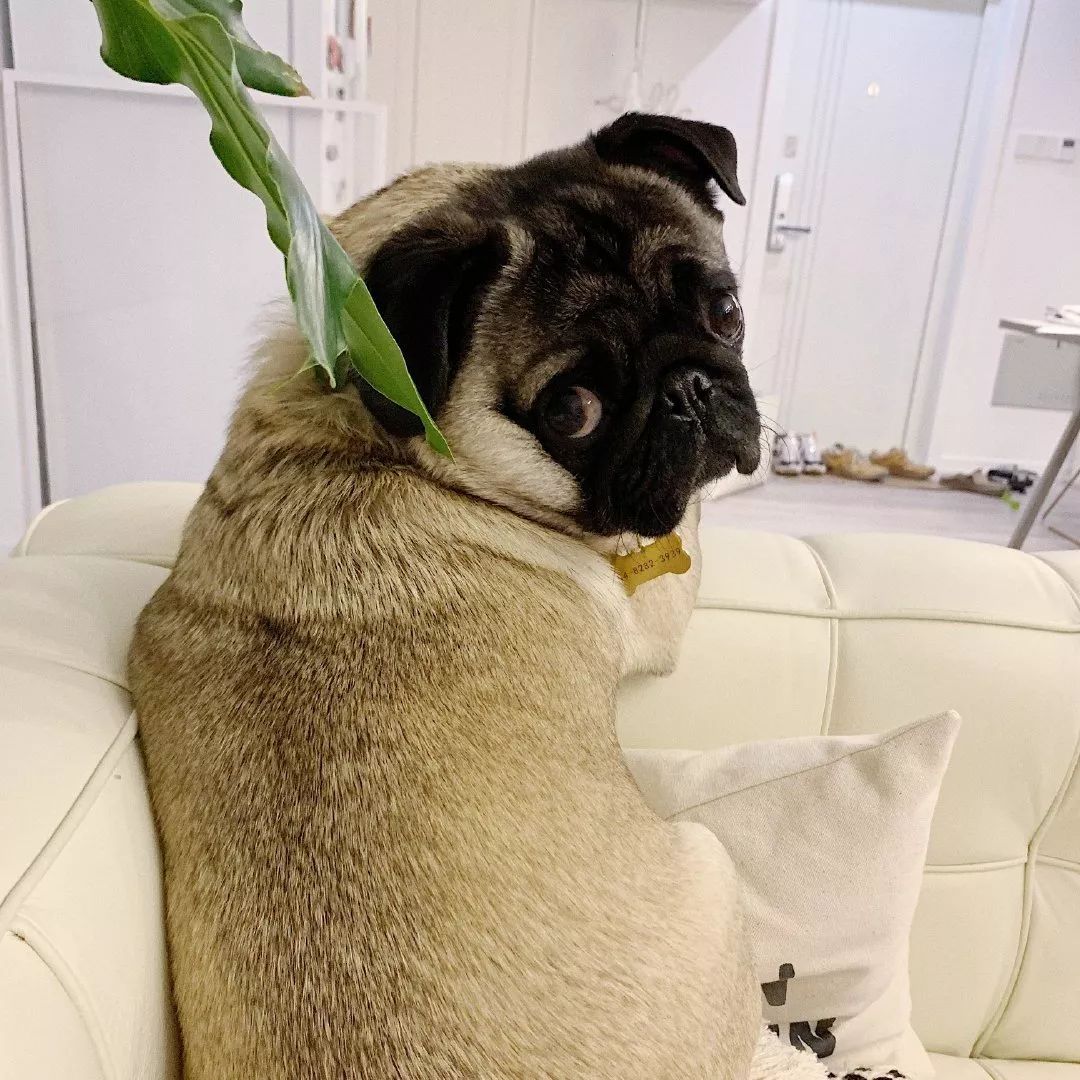 把我设置成不可见了是什么心态,为什么有人把朋友圈设成三天可见