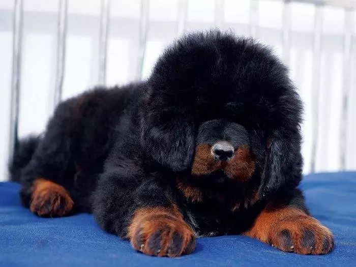 朋友圈设成三天可见代表着什么,有时候把朋友圈设成三天可见