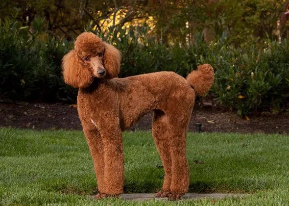 把我设置成不可见了是什么心态,为什么有人把朋友圈设成三天可见