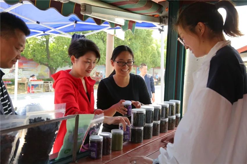 AreYouReady~~~第六届桑果紫酒节火爆来袭！采桑葚，赏演出，如此“葚”好！