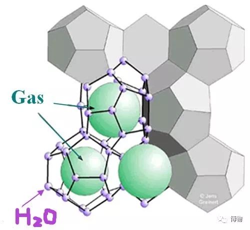 脑子进水了后悔不,脑子进水了掉井里