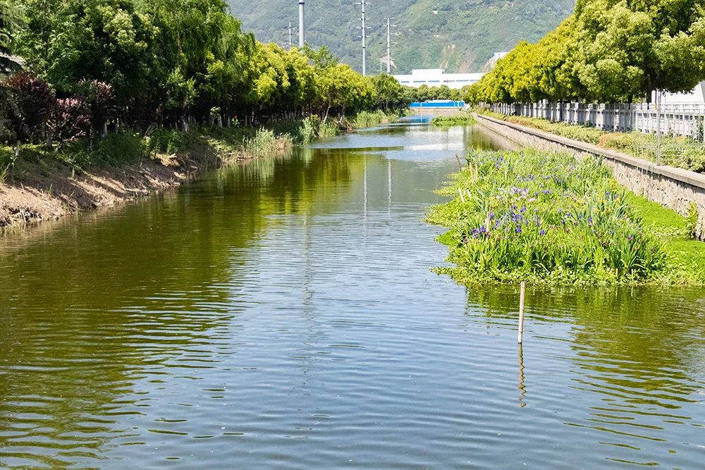 苏州高新区吴新明,吴新明专访