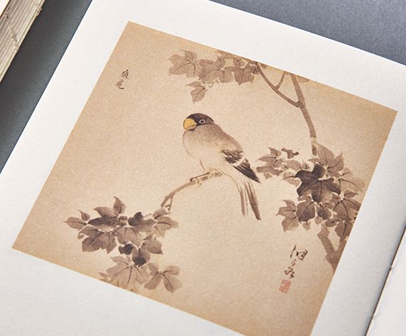 诗经中最唯美的文字,诗经的美才是真的美