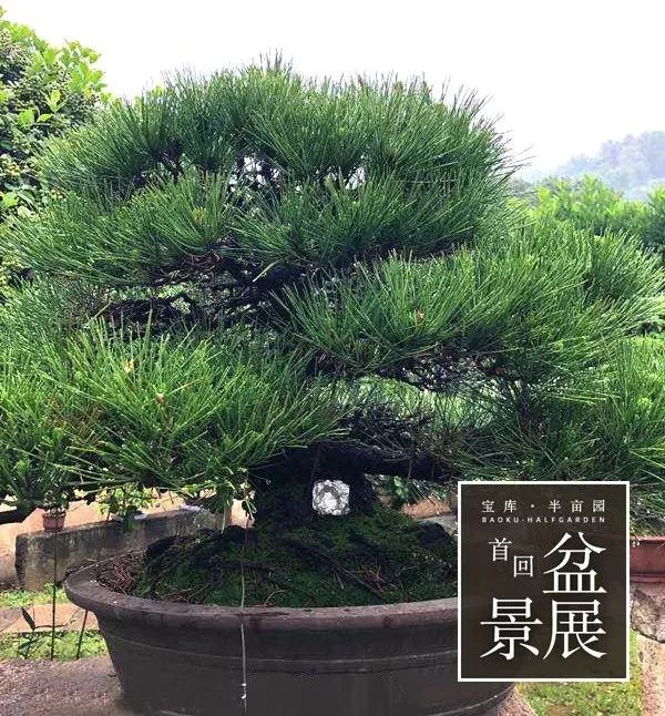 上海最高楼云端上的风景,在上海最高的楼俯瞰风景