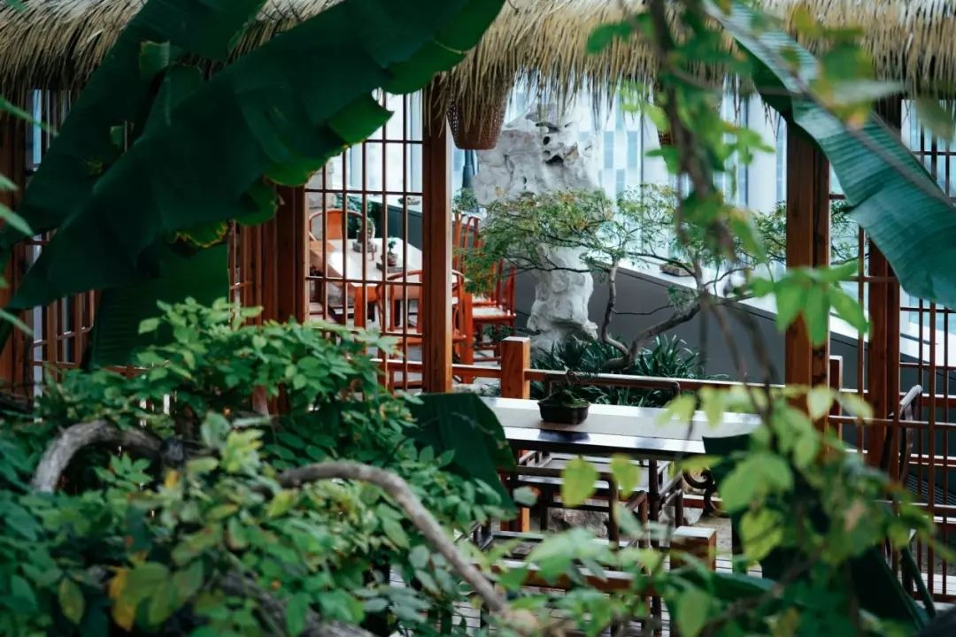 上海最高楼云端上的风景,在上海最高的楼俯瞰风景