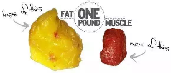 麻范儿好物|日本“吸油圣斗士”，1天1条，7天瘦出小蛮腰！酸酸甜甜，比果冻还好吃