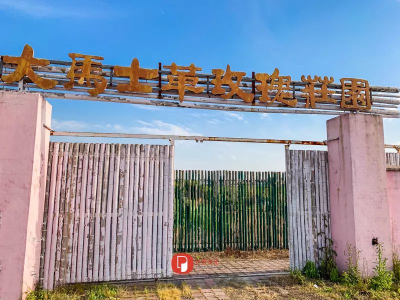 五月芬芳之旅，与你相约海安大马士革*瑰园玫**