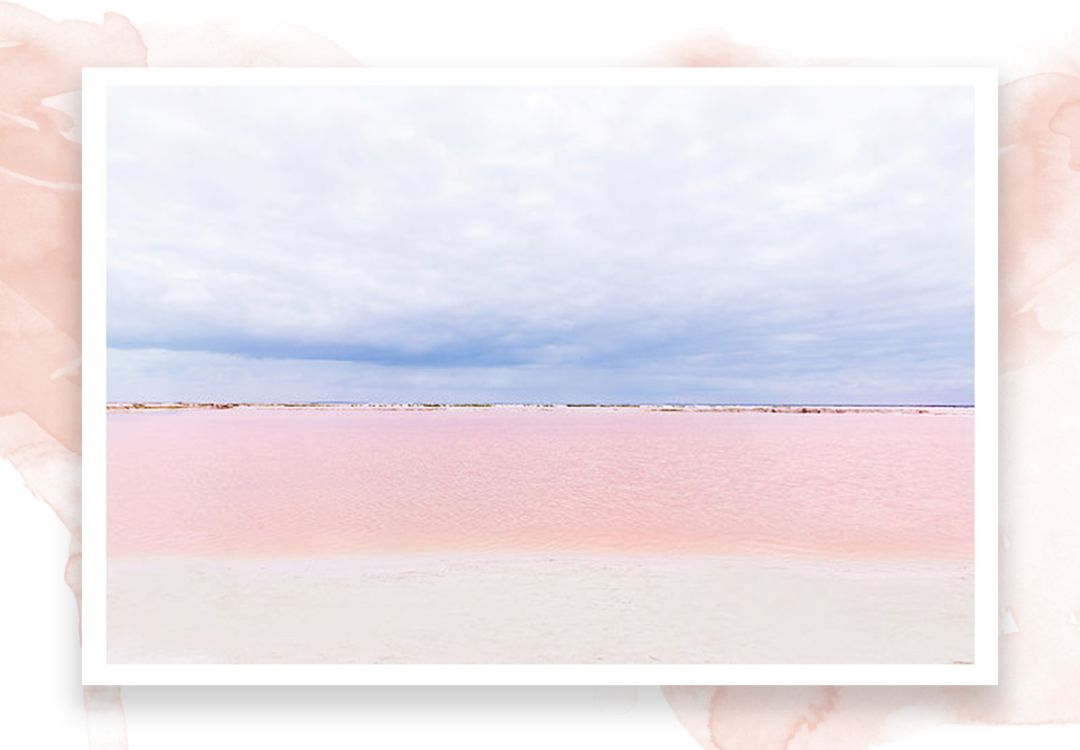 520去哪比较浪漫,520发愁送啥