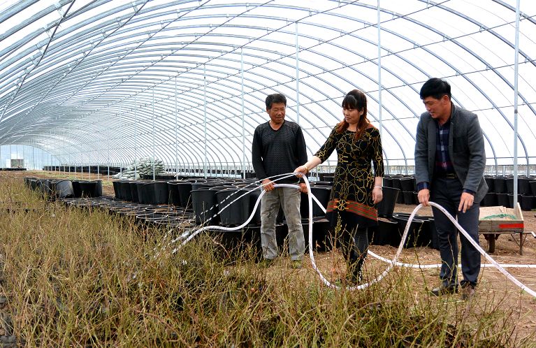执“绿色”巨笔绘生态画卷——白山市建设中国绿色有机谷·长白山森林食药城素描