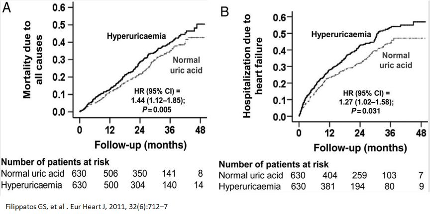 心衰肾衰伴高尿酸怎么治疗,心衰引起的肌酐和尿酸高怎么办