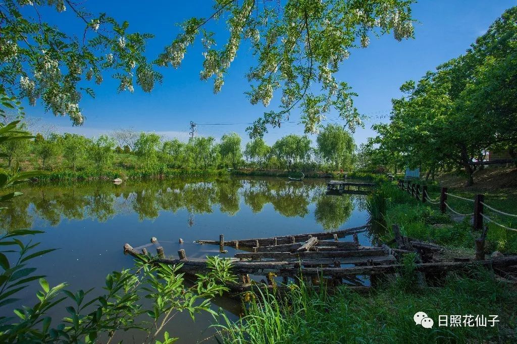 美炸了！初夏花仙子！有爱的人免费玩！把最美奉献给你！