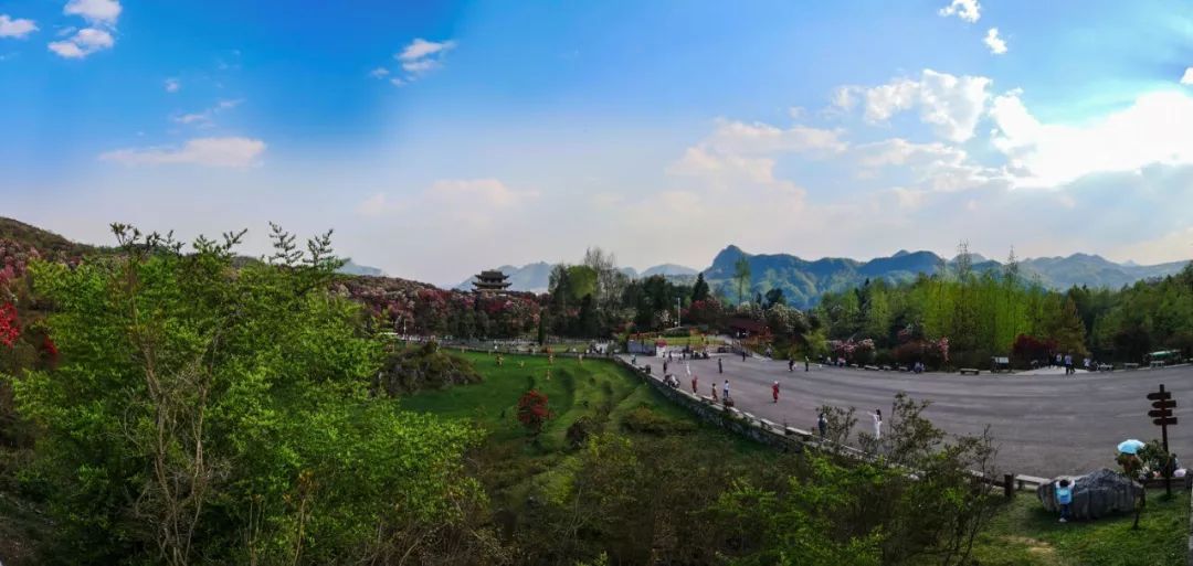 史上最强旅游攻略,最新最强攻略