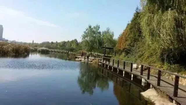 玩转大连森林公园,逛遍大连森林公园