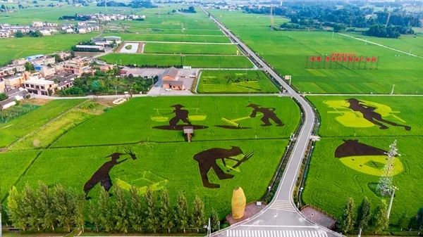 崇州自然赏花美景,崇州青山绿水