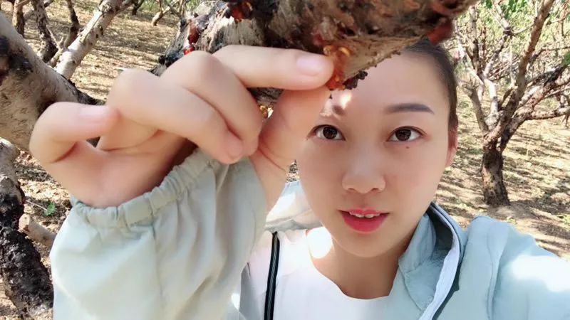 内调养颜原来真的很重要,内调有多重要