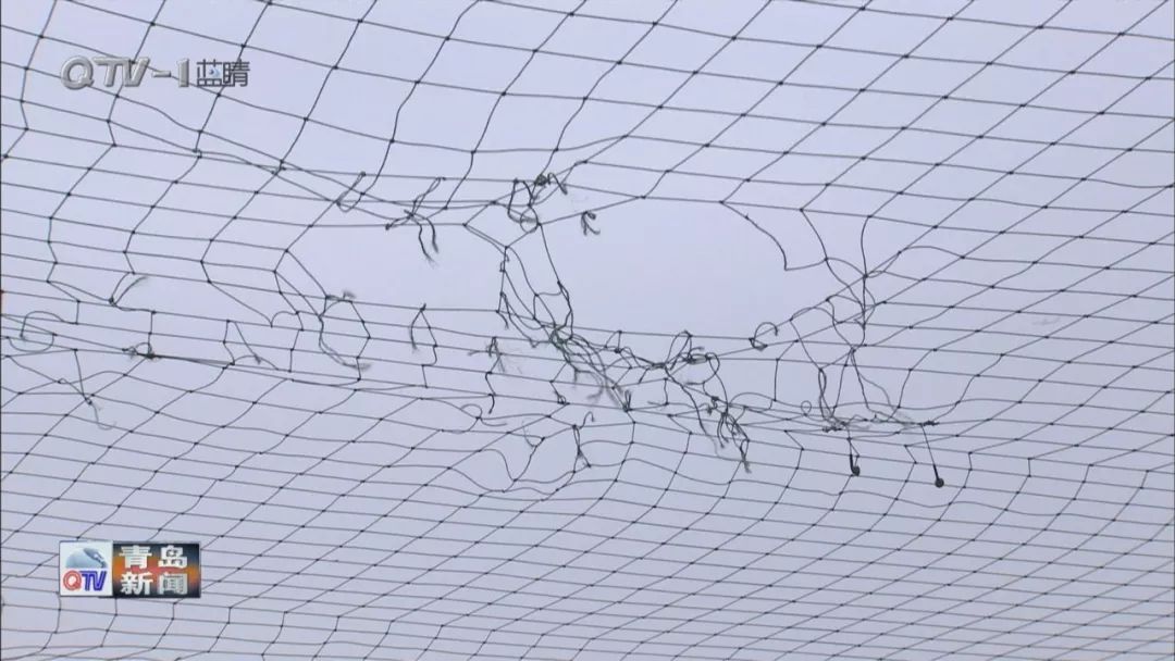 今日聚焦|人均球场数量远超“国标”足球爱好者为何仍觉不够用？