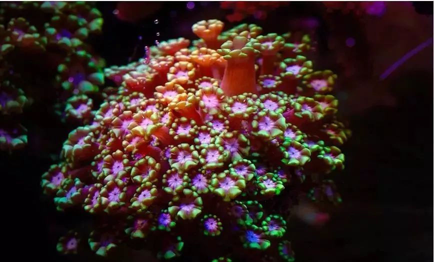 哥稳住啊，千万别在执迷不悟了！！