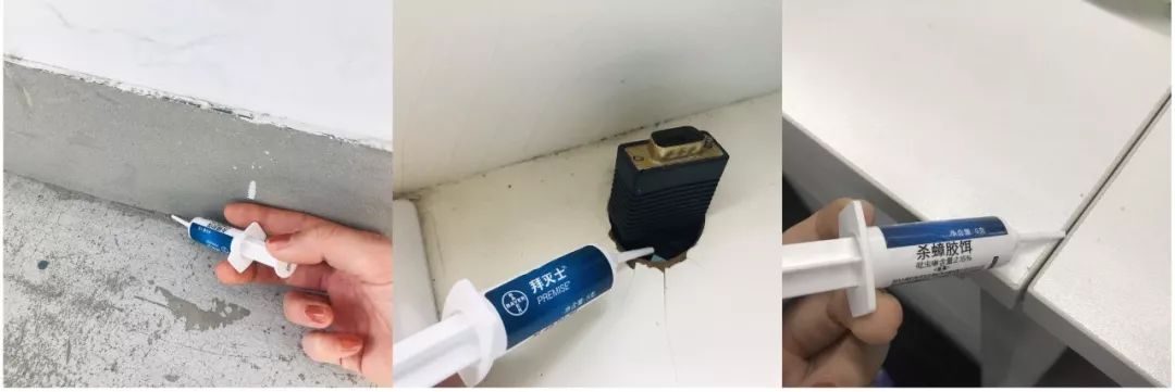 想要消灭家里蟑螂,家里有蟑螂可以请专业人士来灭吗