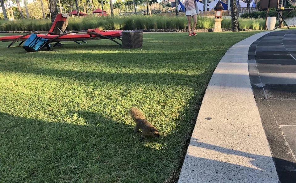 巴厘岛clubmed度假村攻略,巴厘岛clubmed详解