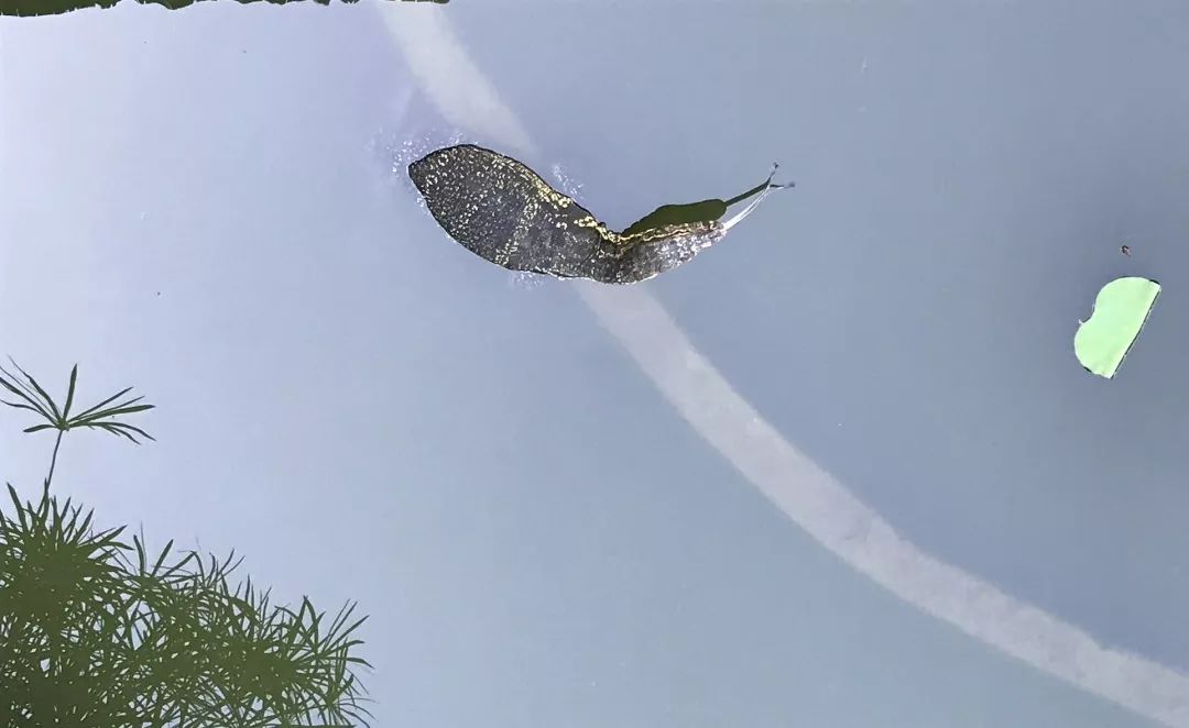 巴厘岛clubmed怎么样,巴厘岛clubmed沙滩怎么样