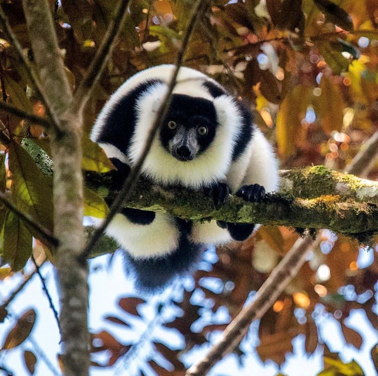电子签又一国！海景堪比马代，物价却比泰国还低！直飞碾压朋友圈99%好友