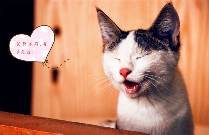 天子呼来不上船李白,李白一日游自由行攻略