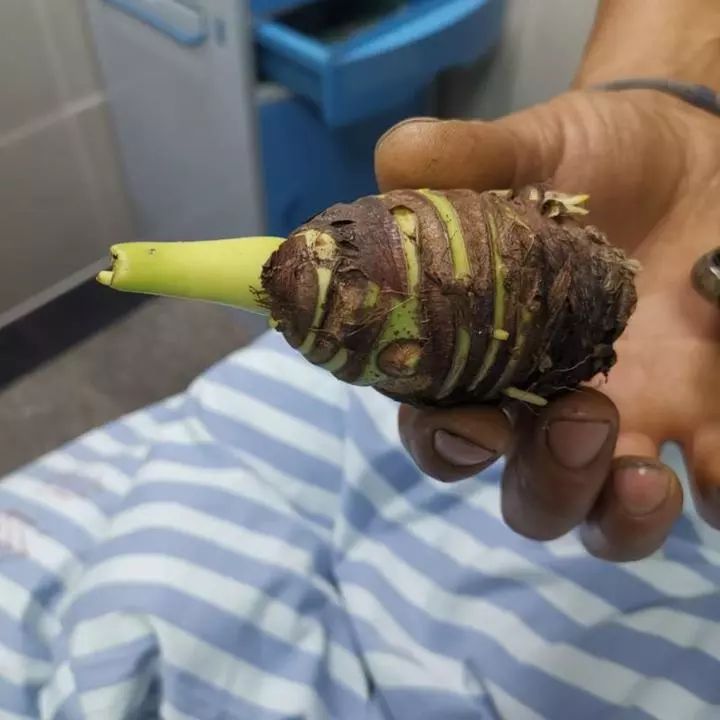 女子在家中毒成功案例,碰一下就中毒是怎么回事