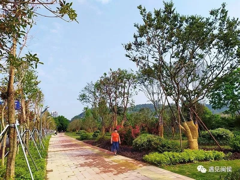 闽侯兜风,兜风去了原视频