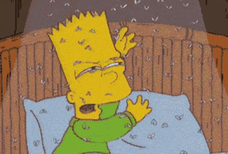 屋里放一点东西可以驱蚊子,家里放什么蚊子跑光光