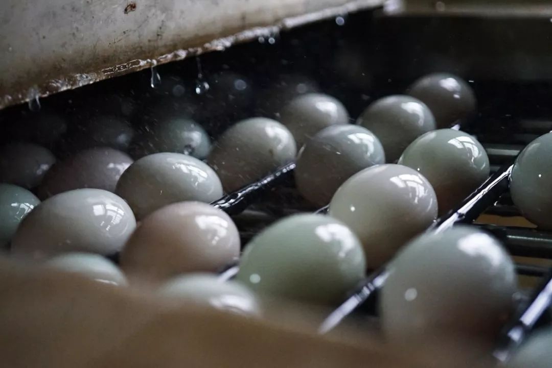 五月种草长沙,五月种草