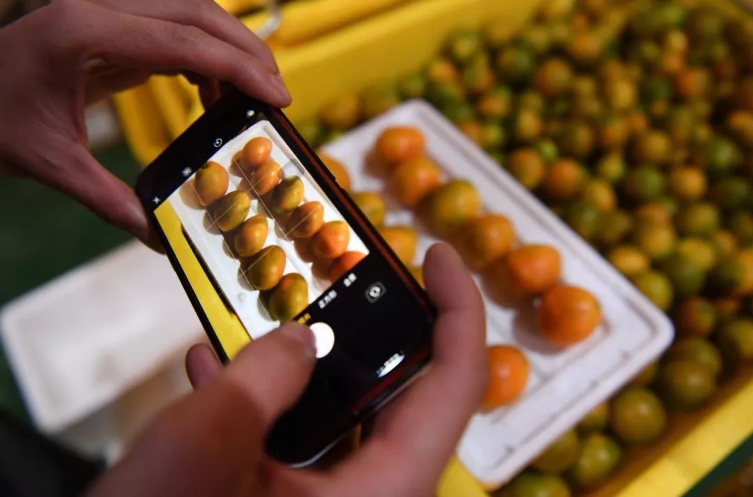 水果自由成网友热议话题,外国网友热评中国水果自由