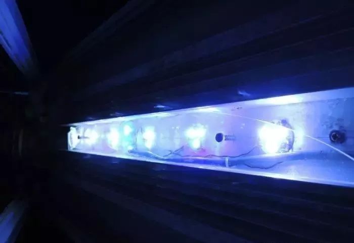 海缸害怕阳光照射吗,海缸如何压制褐藻