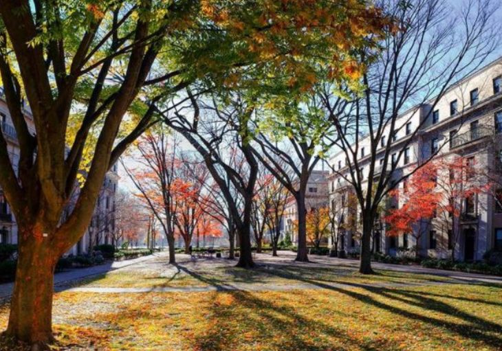 全美最顶尖大学斯坦福大学,全美十大名校