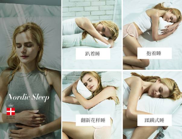 丹麦枕头哪个牌子好,丹麦皇室枕头