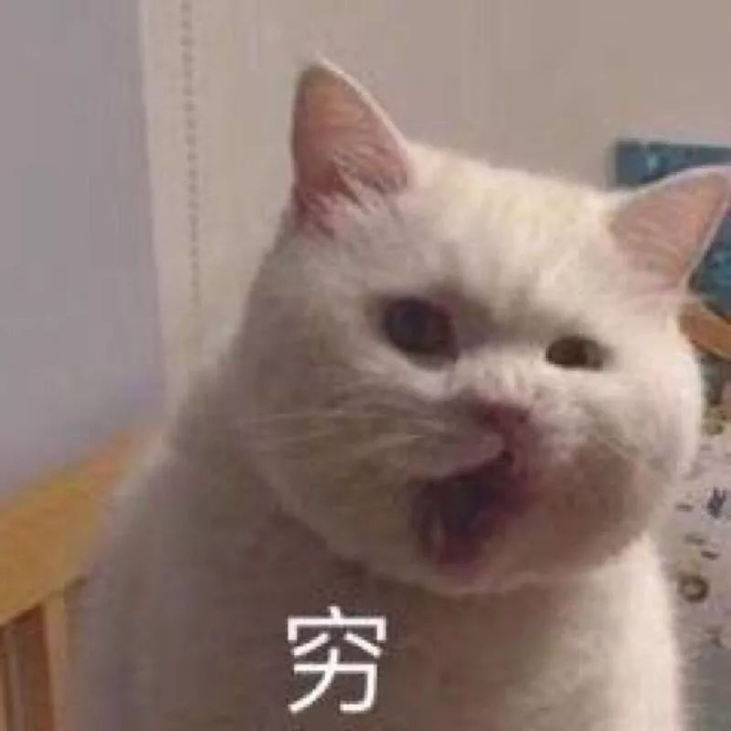 林允的命运,林允为什么这么美貌