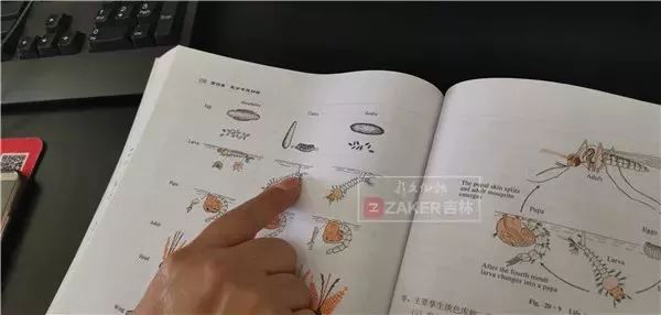 惊!长春高二女生头上洗出数条1厘米长白虫子!这个习惯你有吗?