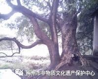 梅州自然保护区,梅州客家文化小镇