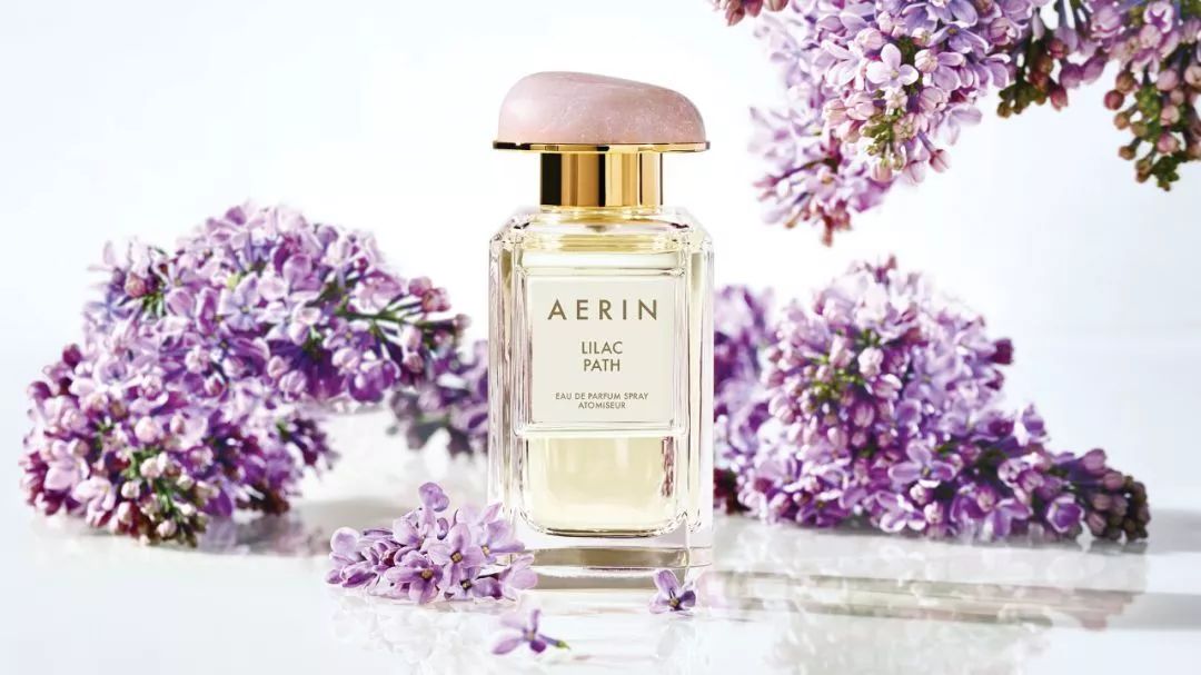 寻香|还原派VS颠覆派？诶呦~想不到这花还有两副面孔！（上）