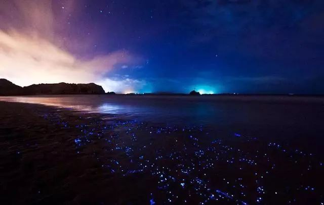 大V推荐|追泪记：手把手教你两天一夜玩转平潭岛