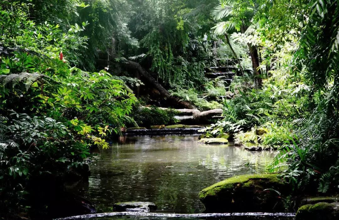 泰国青草膏驱蚊止痒防蚊虫叮咬,泰国蚊子叮咬止痒膏