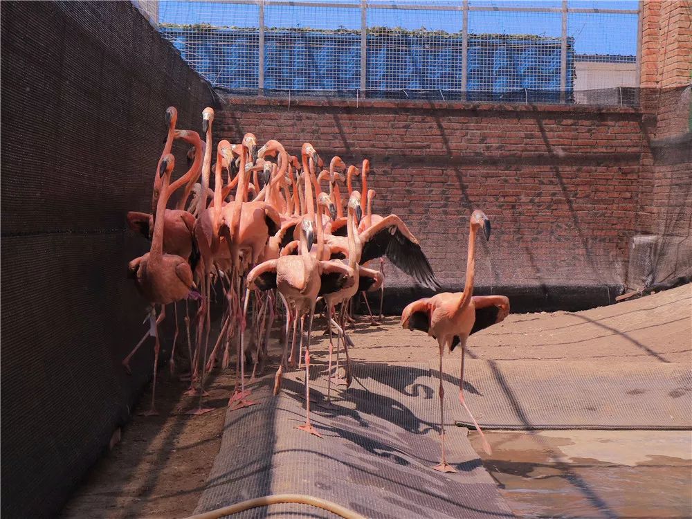 「滨海鲜闻」最恐怖最惊艳最刺激的开箱……一般人真看不了！