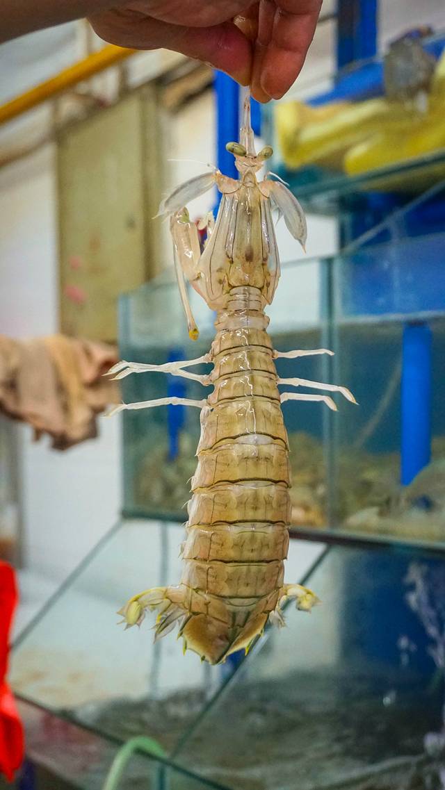 夏威夷之旅蔚蓝色的海,东方夏威夷海洋之心